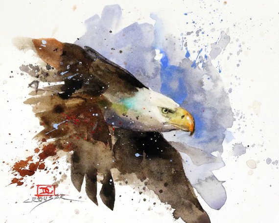 570x456 Bald Eagle Watercolor Bird Print By Dean Crouser Etsy
