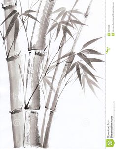 Bamboo Watercolor
