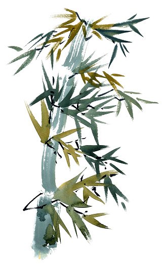 326x530 Bamboo Watercolor Illustration Stock Vectors