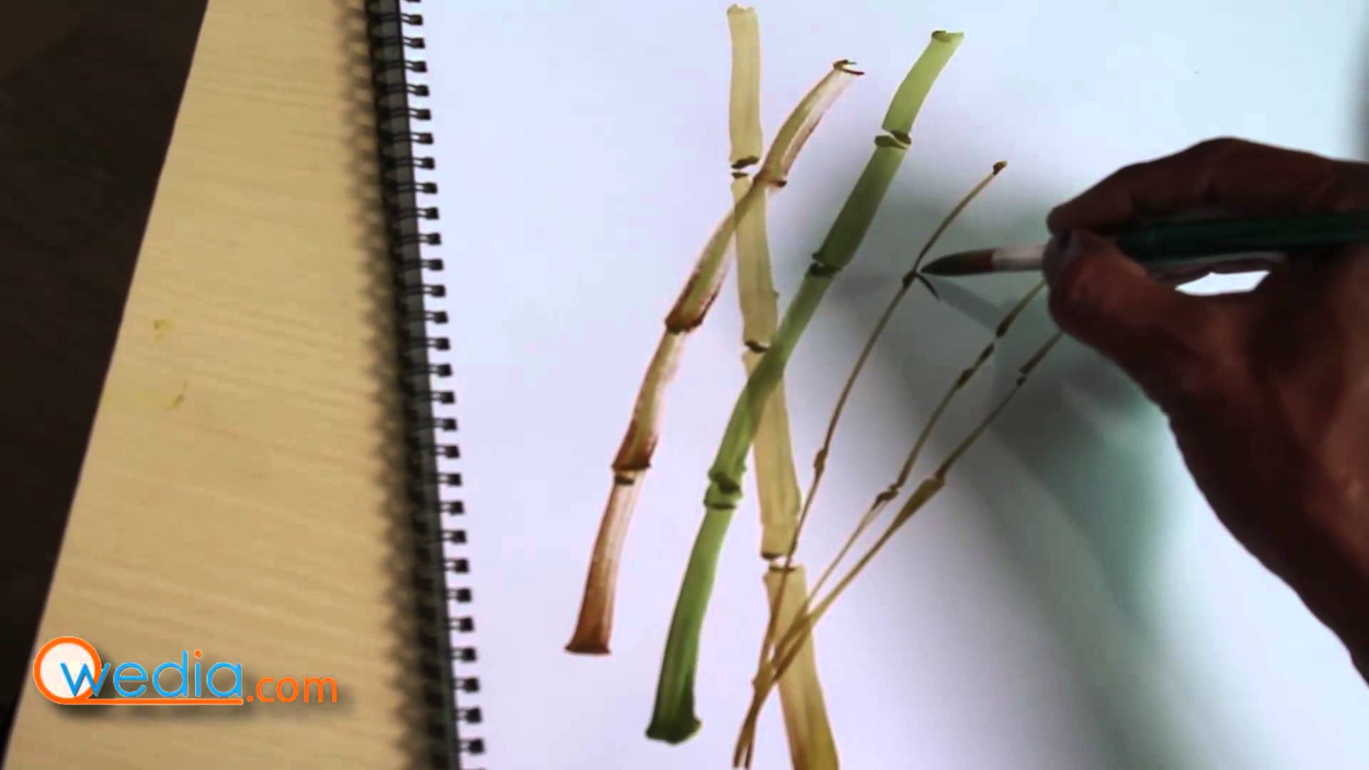 1920x1080 Draw Bamboo Sticks Watercolor Painting Step By Step