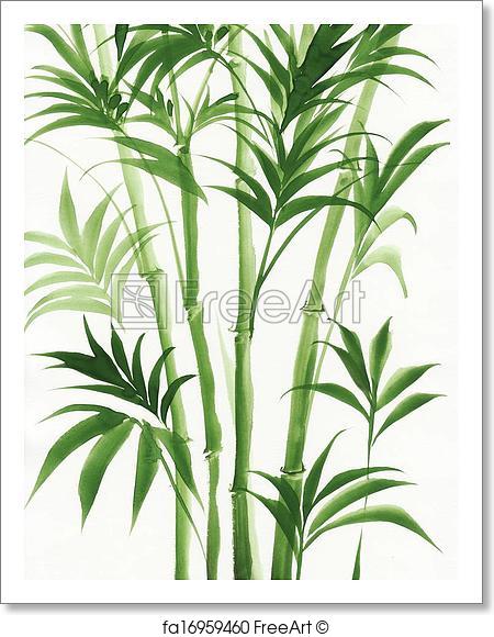 450x580 Free Art Print Of Watercolor Painting Of Palm Bamboo. Original