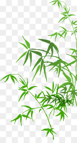 260x480 Free Download Bamboo Watercolor Painting