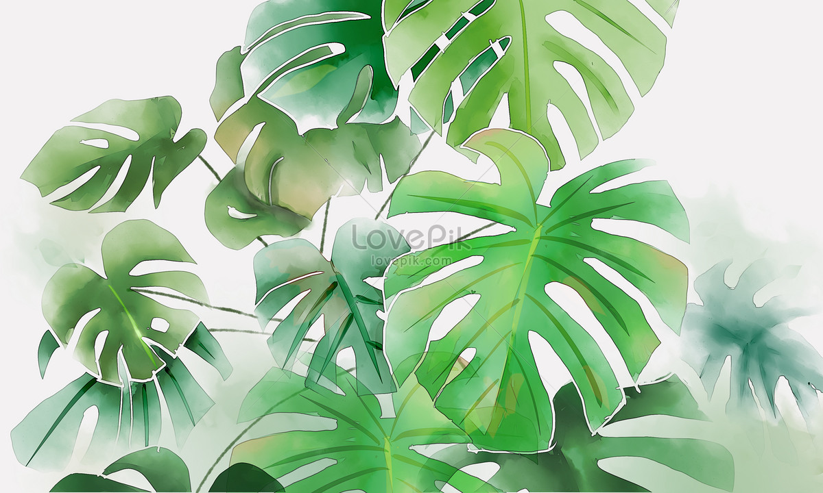 1200x720 Watercolor Tortoise Back Bamboo Photo Image Picture Free Download