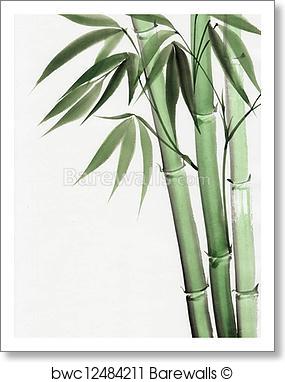 285x382 Art Print Of Watercolor Painting Of Bamboo Barewalls Posters