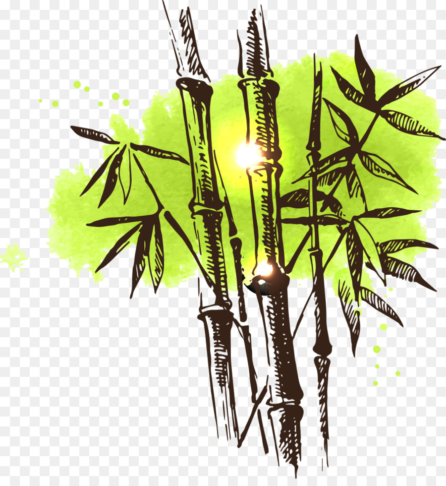 900x980 Bamboo Drawing Watercolor Painting Illustration