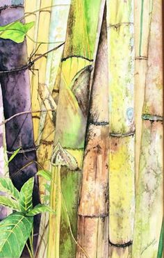 Bamboo Watercolor Painting