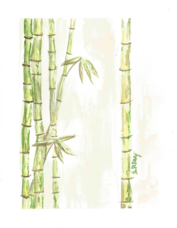 570x732 Bamboo Watercolor Painting Original Watercolor Painting