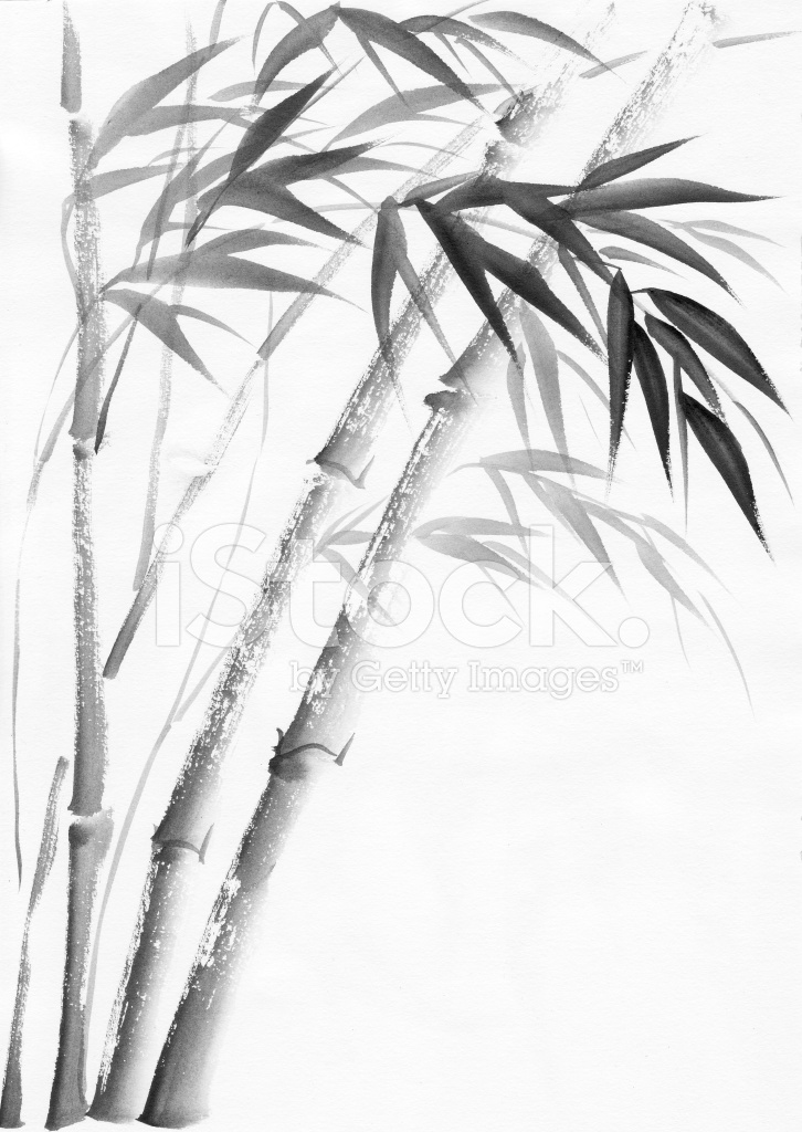 726x1024 Watercolor Painting Of Bamboo Stock Vector