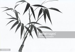 286x199 Watercolor Painting Of Bamboo Stock Vectors
