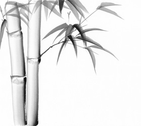 279x250 Watercolor Painting Of Bamboo Original Art, Watercolor