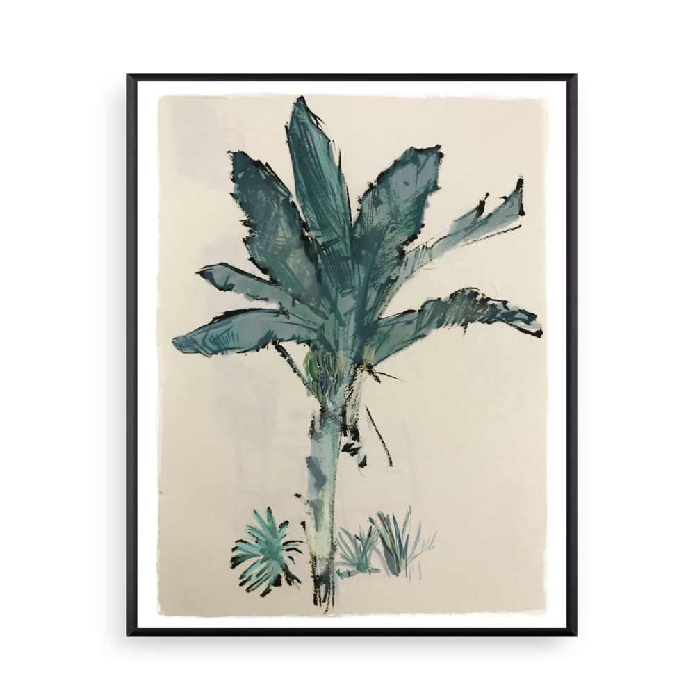 1000x1000 Banana Tree Rylander Co.