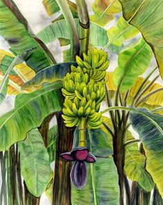 236x297 New Painting.....art Original Watercolor Painting Of A Tropical
