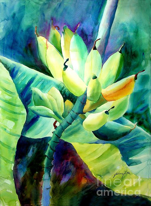 511x700 Watercolor Painting Of Tropical Banana Tree. Art, Gifts, Plants
