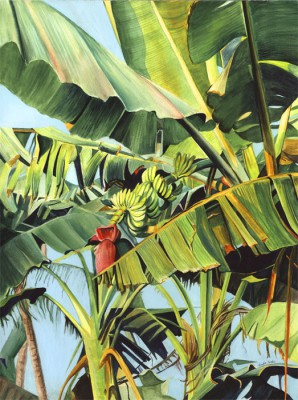 298x400 Banana Tree Paintings By Linda Curtis
