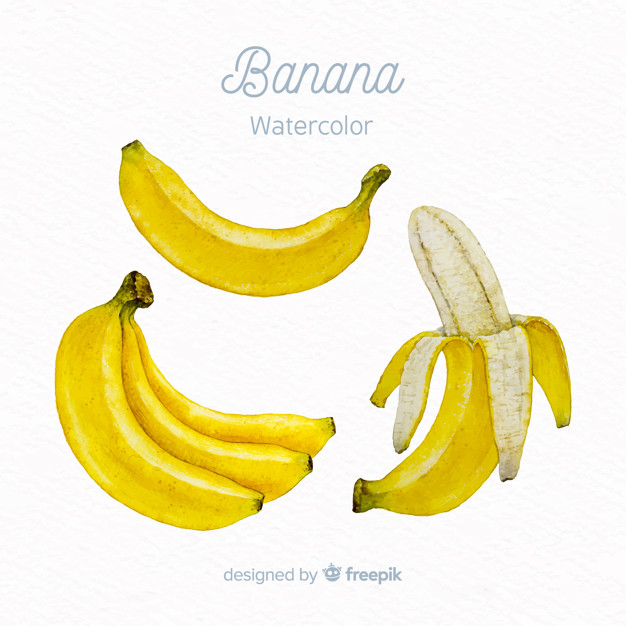 626x626 Watercolor Banana Vector Free Download