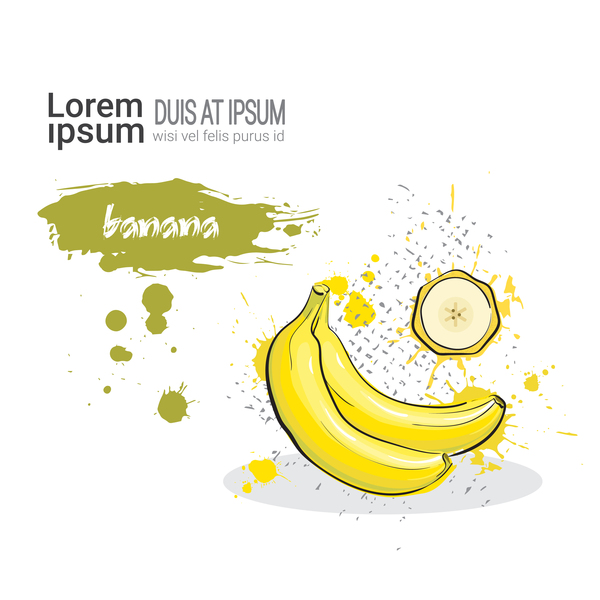 600x600 Banana Watercolor Drawn Vector