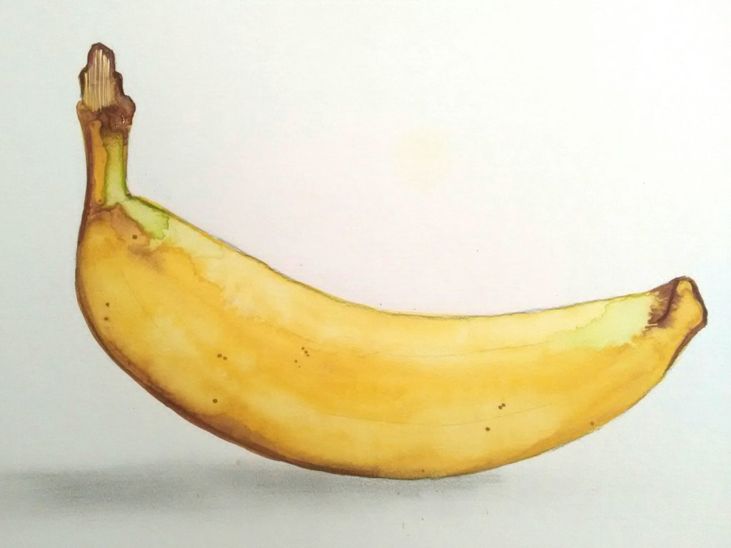 1024x768 Banana (Watercolor) By Hallward Art