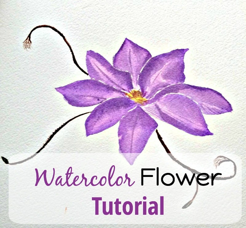 800x741 Easy Watercolor Tutorial
