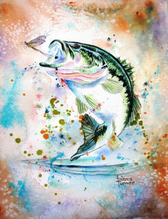 570x744 Largemouth Bass Fish Watercolor, Watercolor Giclee Print From
