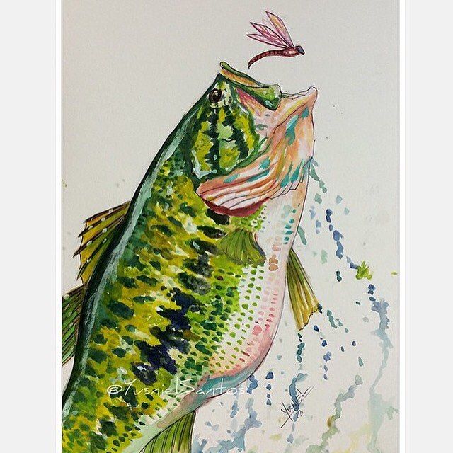 640x640 Largemouth Bass In Watercolors I Did A Little While Ago. I Sorta