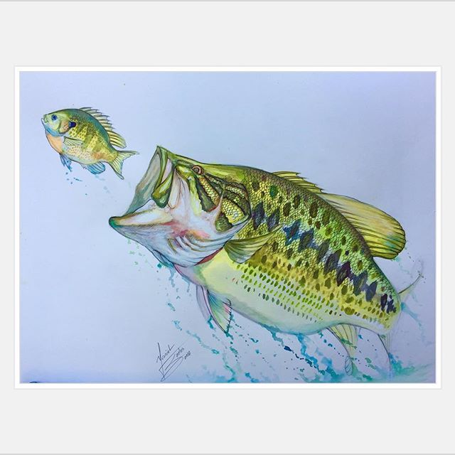 640x640 New Largemouth Bass Using Watercolors. What Do You Guys Think