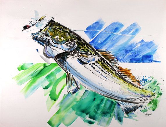 570x435 Original Watercolor Painting Striped Bass Extra Large 22x28 New