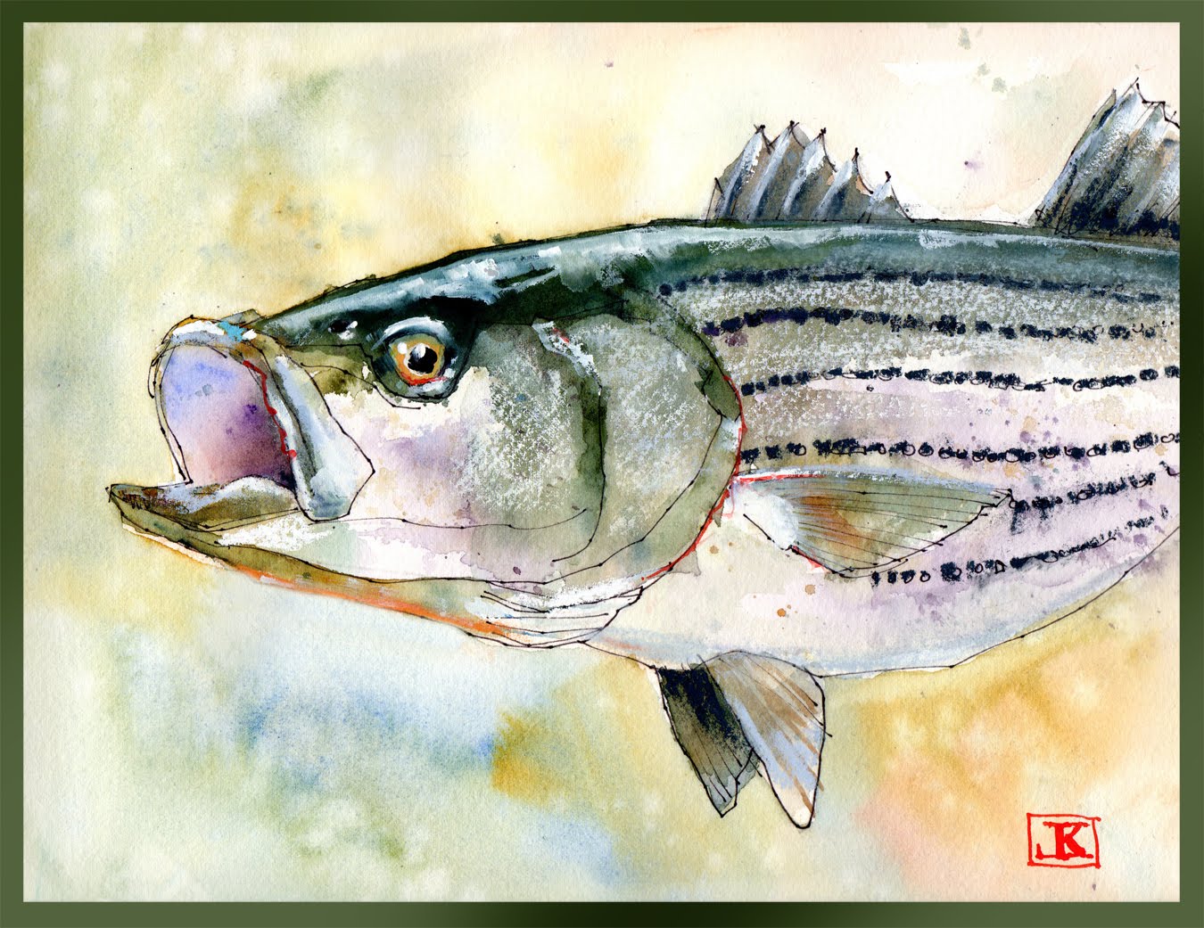 1350x1041 Drawing Flies 365 Drawing Fish 52 28 Stripped Bass