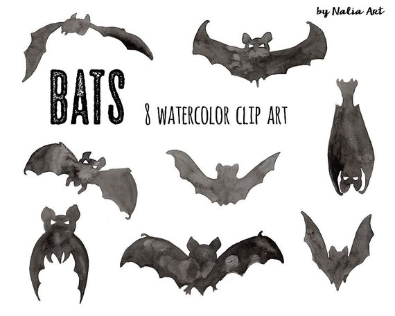 570x456 Buy 3 For 9 Usd Halloween Bat Bats Handpainted Watercolor Etsy