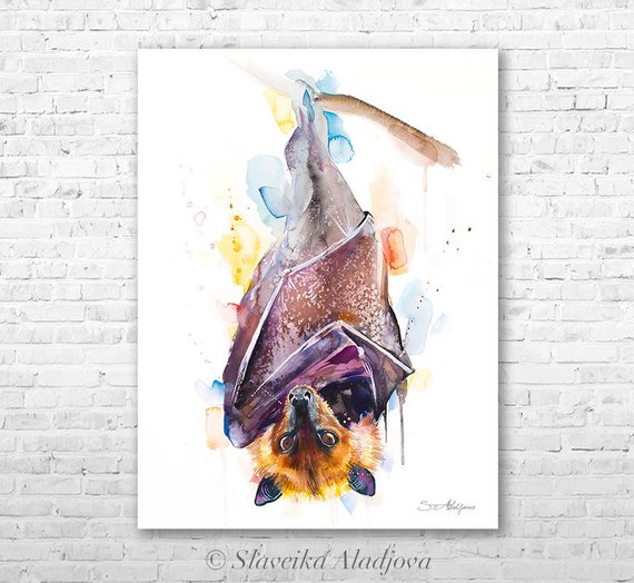 570x524 Giant Golden Crowned Flying Fox Golden Capped Fruit Bat Etsy
