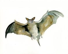 236x187 Watercolor Paintings Of Incan Ruins Of Machu Picchu Peru