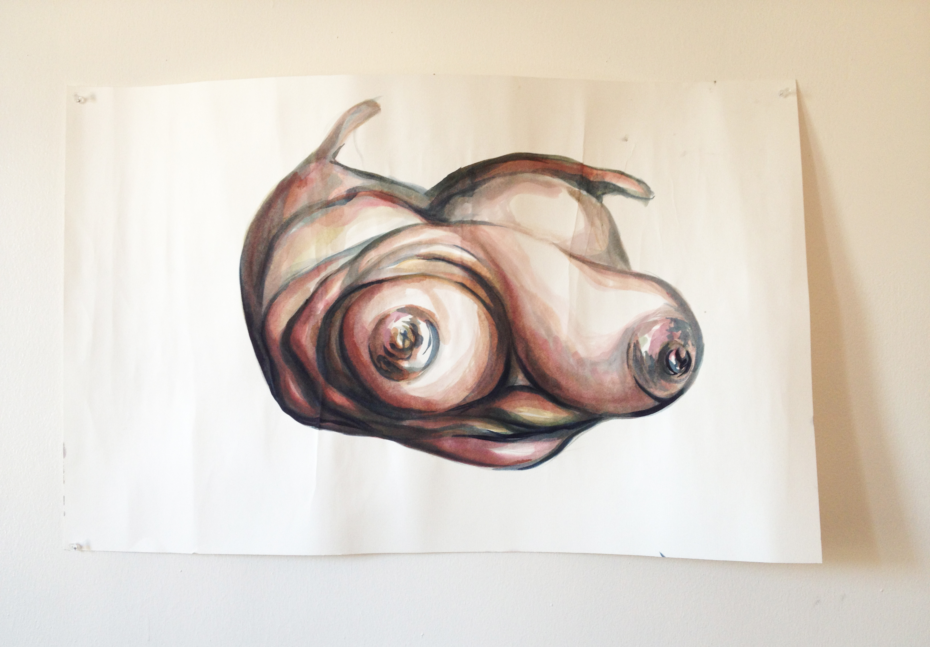 3264x2269 Watercolor Bat Ami Rivlin