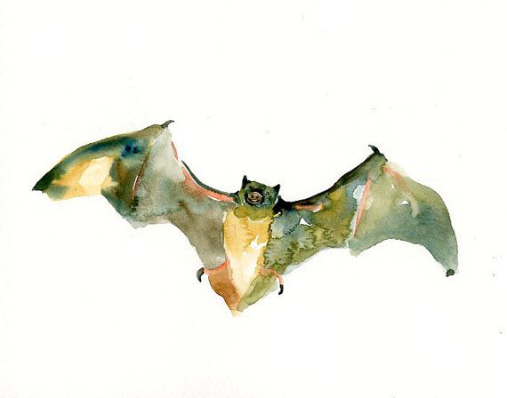 570x448 Bat Original Watercolor Painting 10x8inch Bats