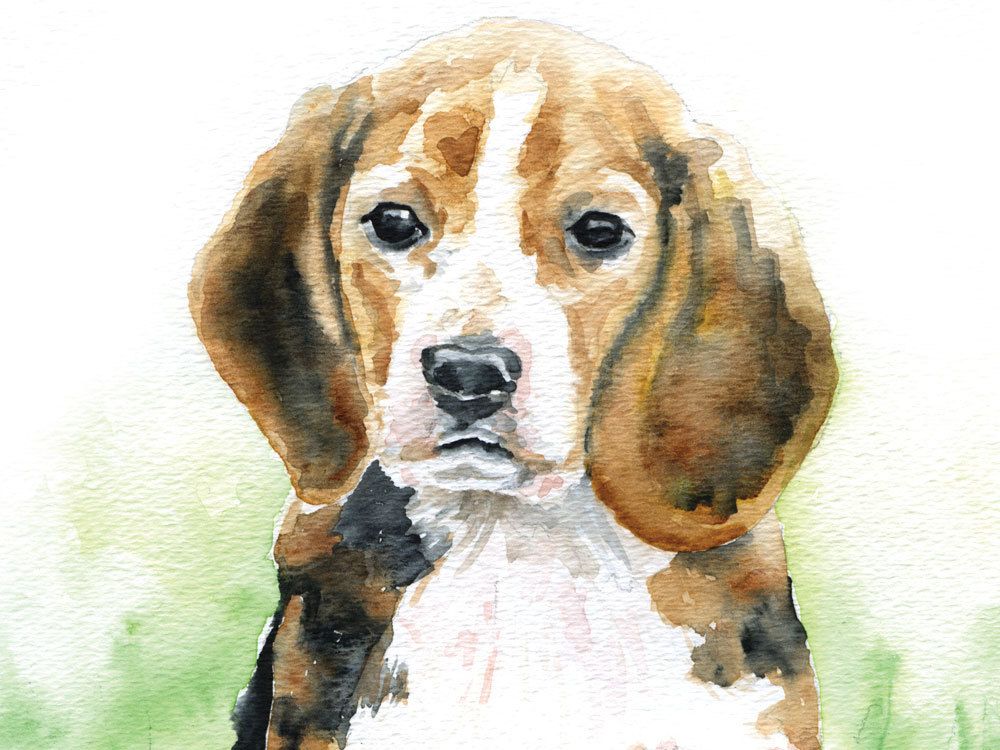 1000x750 Beagle Watercolor Note Card Set In 2018 Susan Windsor