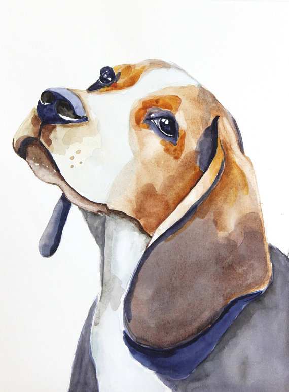 570x773 Dog Painting Elegant Beagle Original Watercolor Painting Dog
