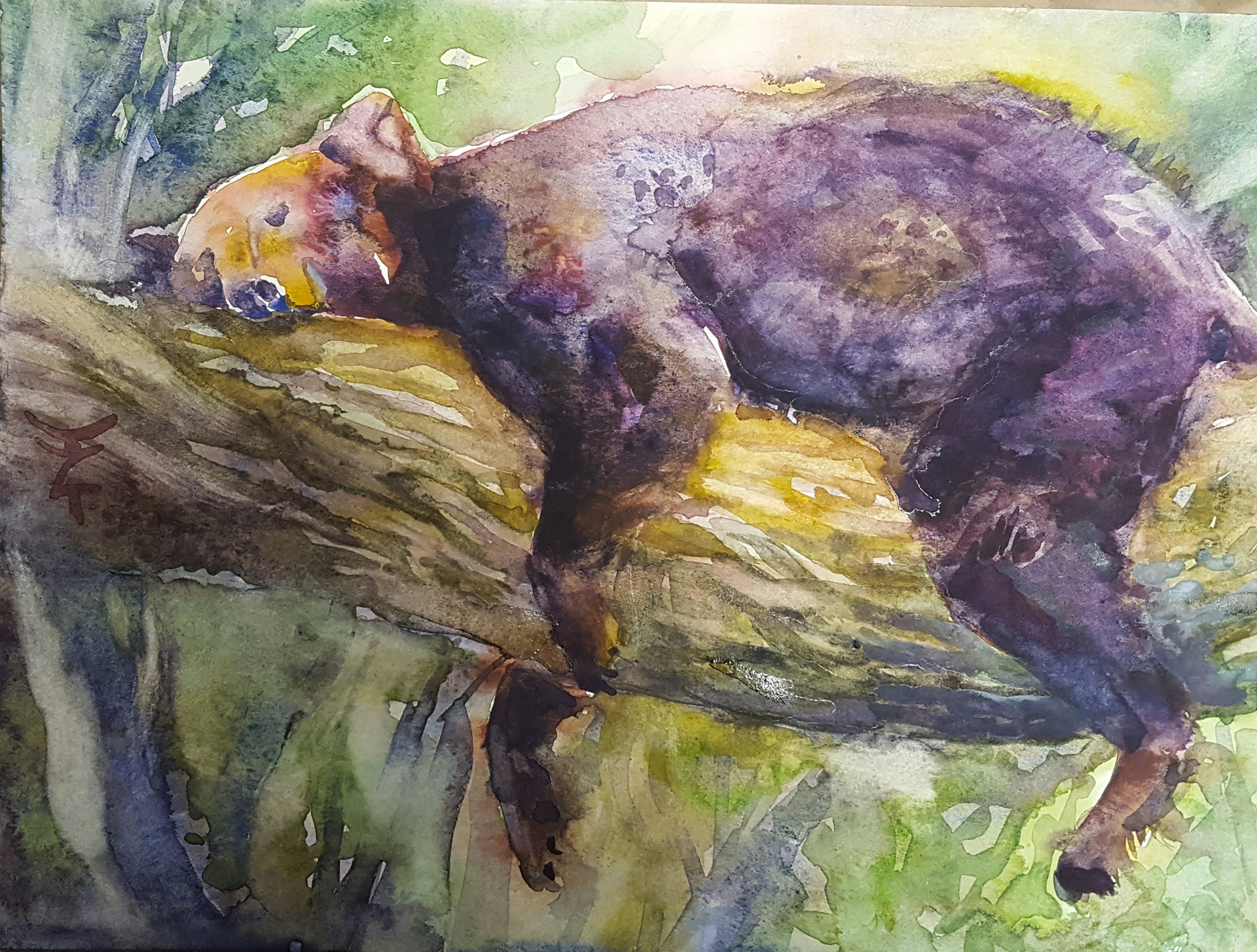 1920x1454 Bear Sweet Dreams Animal Watercolor Painting For Sale
