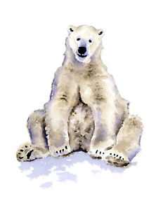 232x300 Polar Bear Wildlife Watercolor Painting 11 X 14 Art Print Ebay