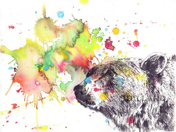 570x428 Portrait Of A Grizzly Bear In A Bright Splash Of Color Buy Any