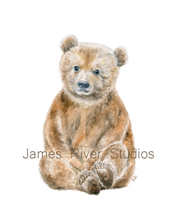 570x713 Bear Art Bear Painting Bear Print. Bear Watercolor Painting Etsy