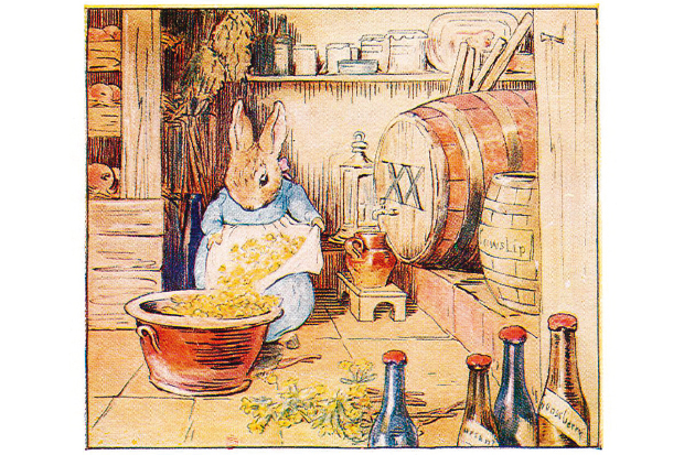 620x413 The Art Of Beatrix Potter The Spectator