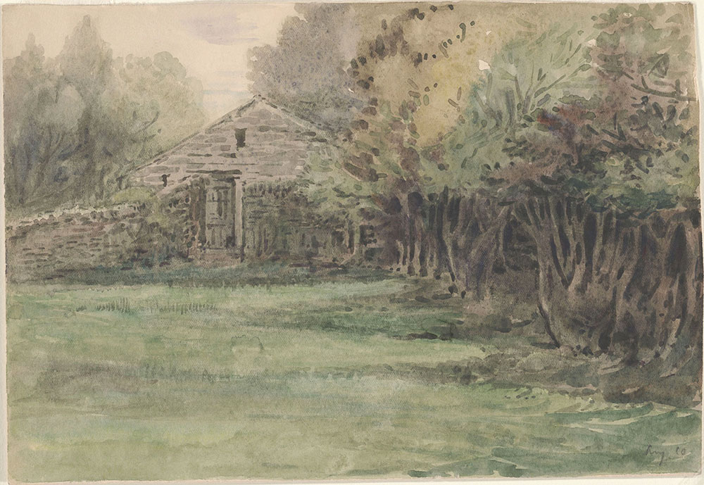 1000x689 Watercolor By Beatrix Potter