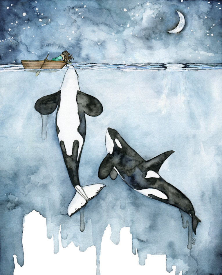 765x951 Beautiful Watercolor Paintings Of Whales By Rachel Byler