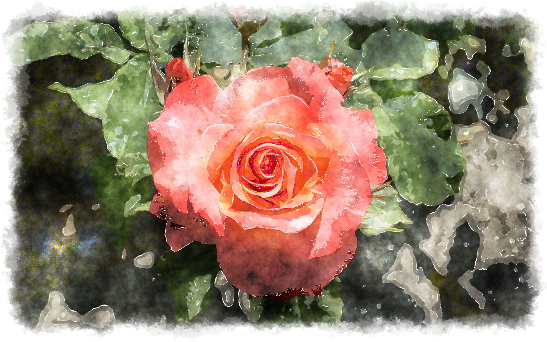 1920x1200 Beautiful Watercolor Rose