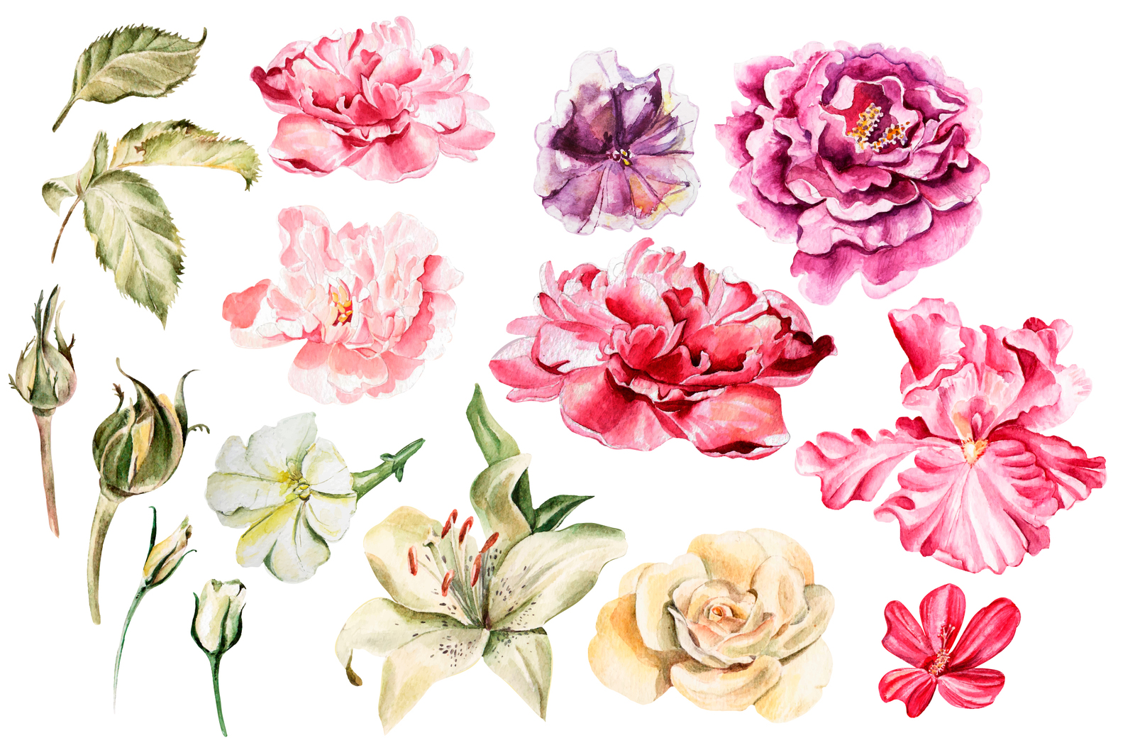 1600x1064 Beautiful Watercolor Flowers In Illustrations On Yellow Images