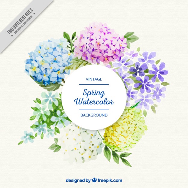 626x626 Beautiful Watercolor Flowers Label Vector Free Download