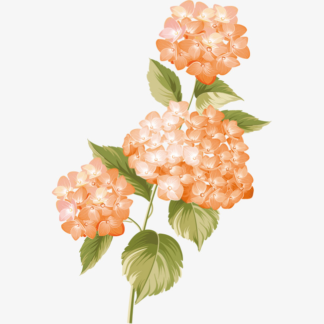 650x650 Fresh And Beautiful Watercolor Yellow Flowers, Watercolor Clipart