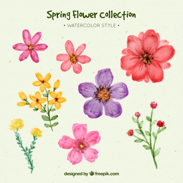 626x626 Set Of Pretty Watercolor Flowers Vector Free Download