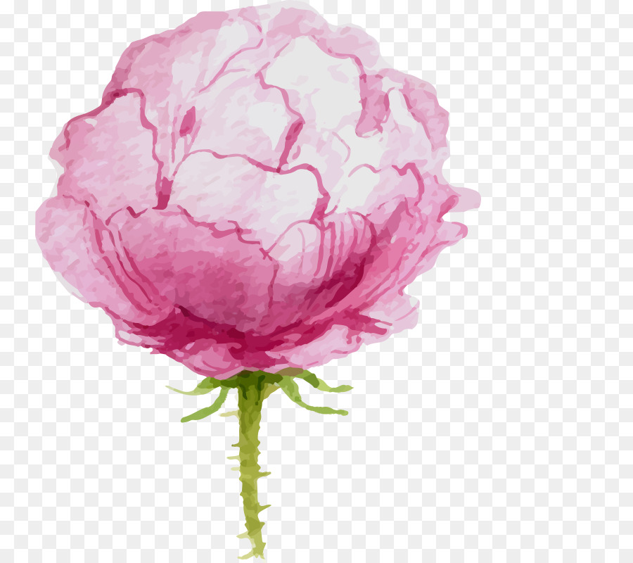 900x800 Watercolor Flowers Watercolor Painting Oil Painting Canvas