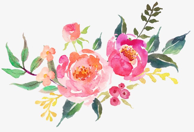 650x443 Beautiful Fresh Flowers Watercolor, Watercolor Clipart, Watercolor