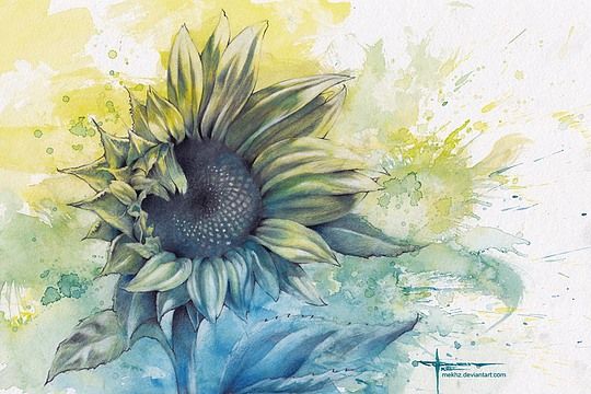540x360 Beautiful Watercolor Paintings By Mekhz Flowers