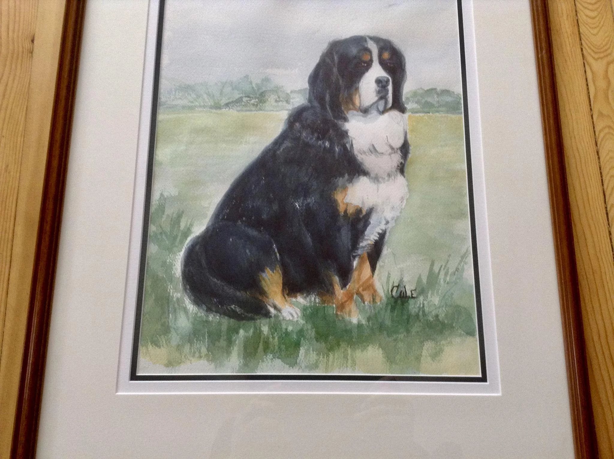 2048x1530 Bernese Mountain Dog In A Field Watercolor Painting Signed By